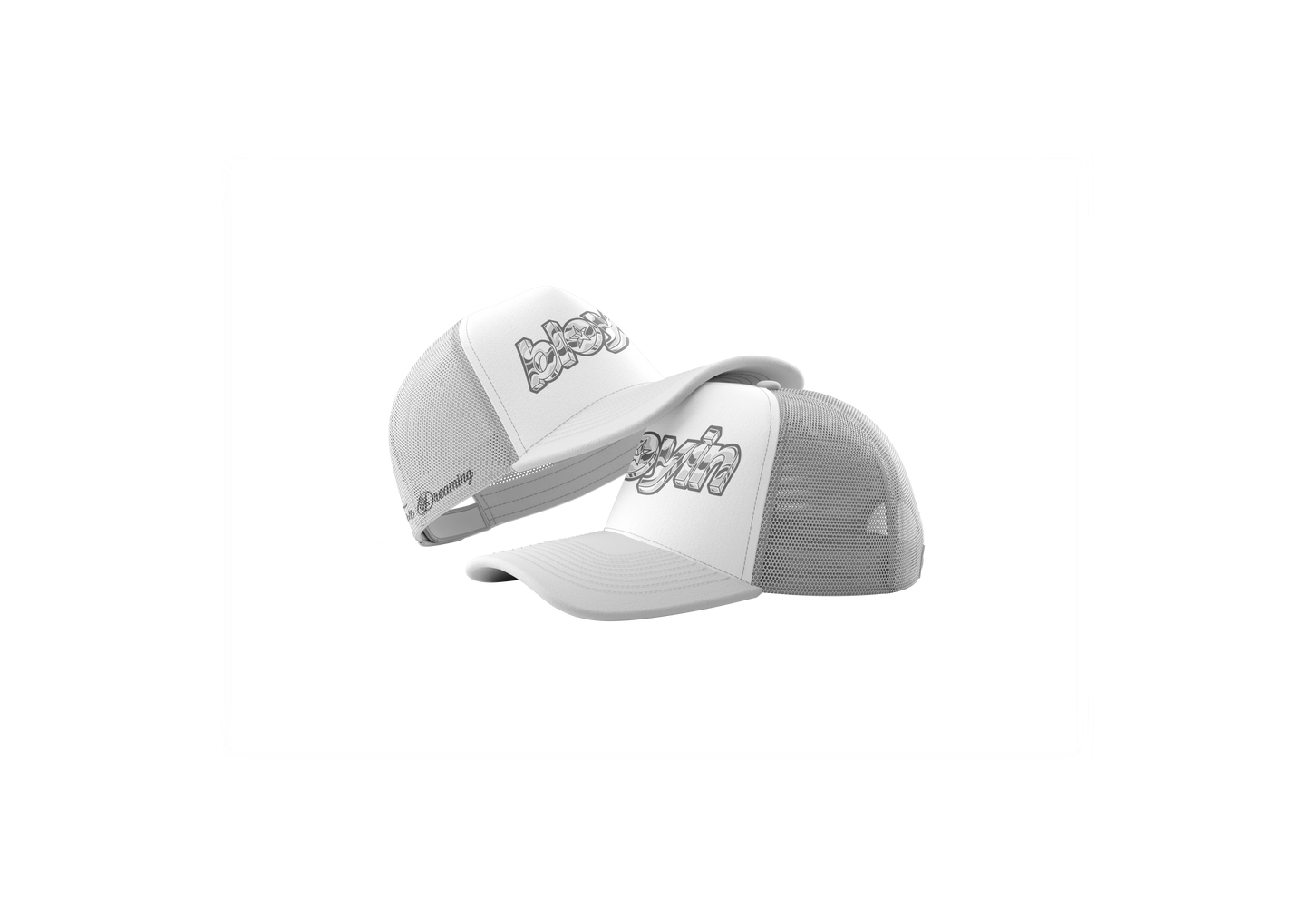 Gorra Trucker BLOYIN