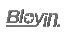 Bloyin – Inicio