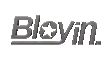 Bloyin – Inicio